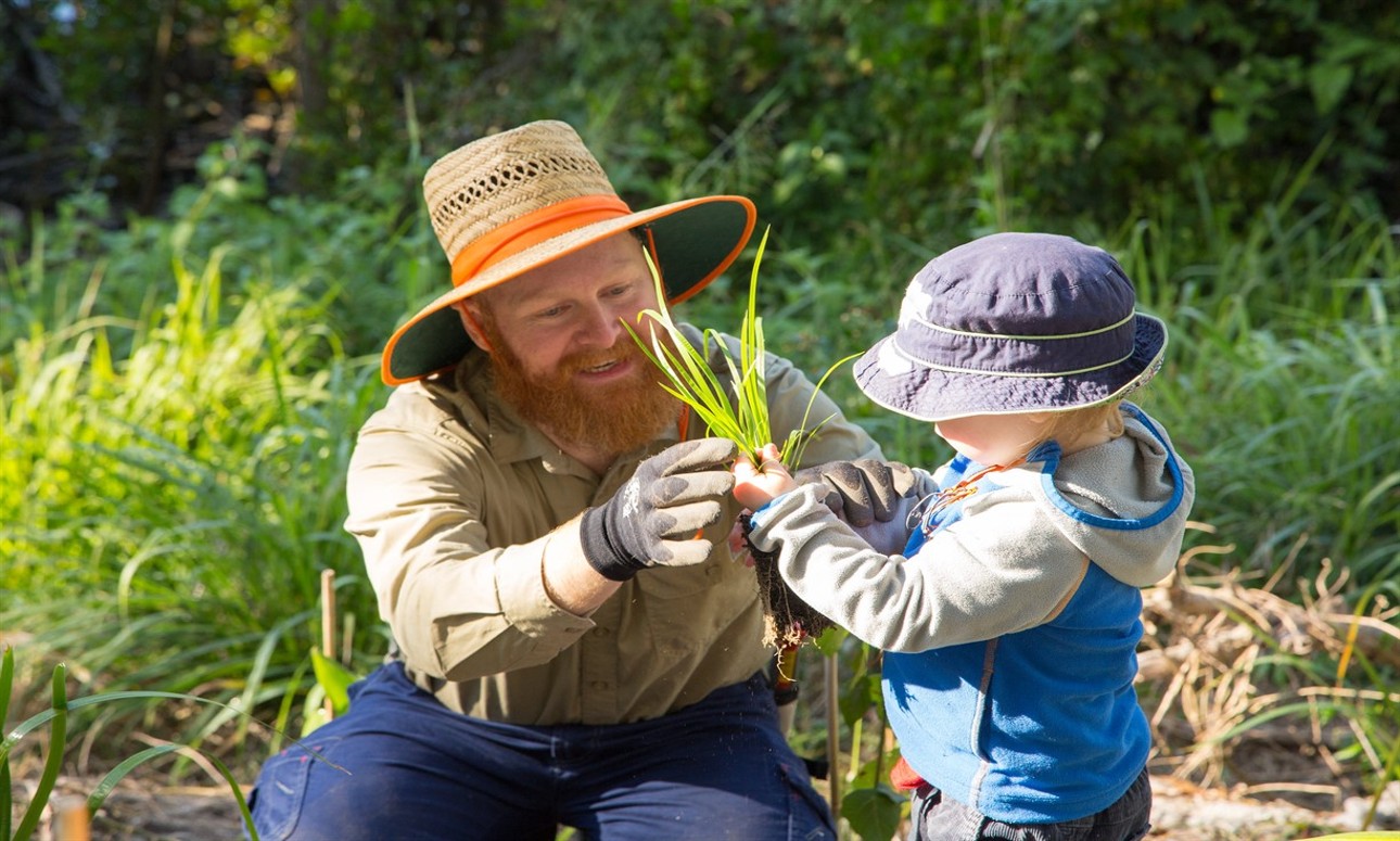 Volunteer Bushcare Working Bee - Bald Hills Bushies