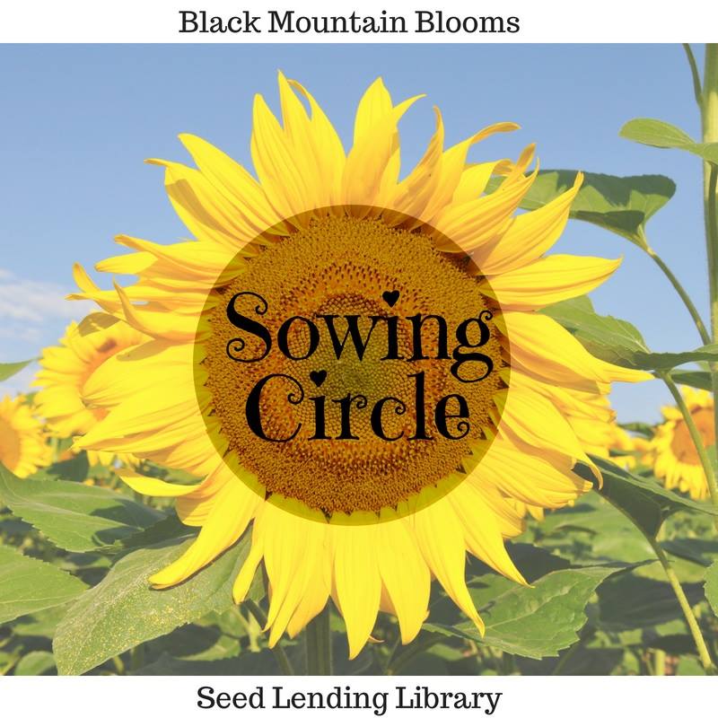 Sowing Circle Presents:  Common Invasive Plants