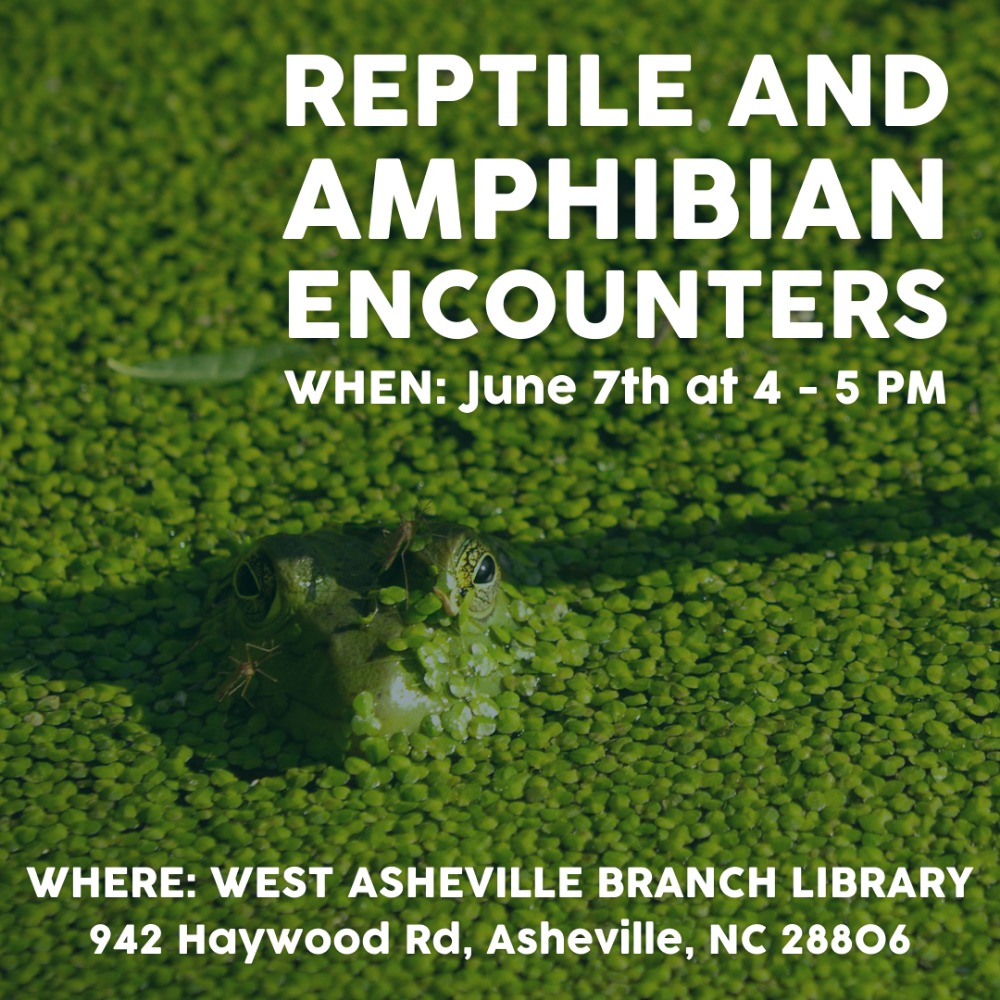 Reptile and Amphibian Encounters - Asheville.com