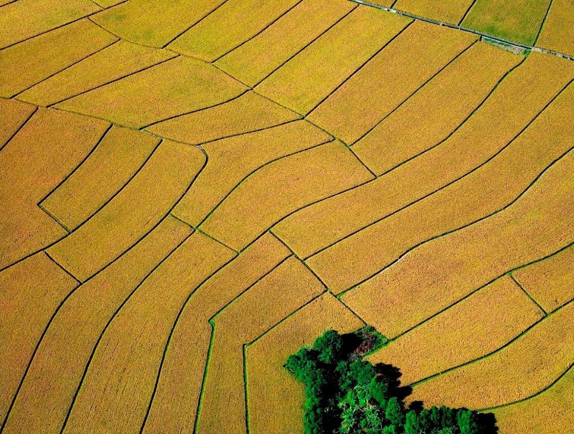 Beyond Beauty: Taiwan from Above Event Image