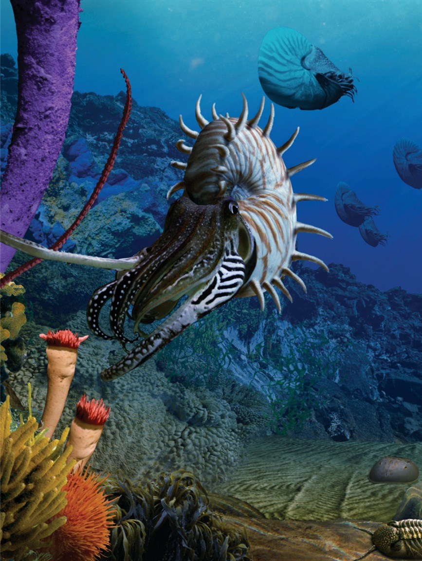 Prehistoric Oceans: What Lived in the Sea Before Me