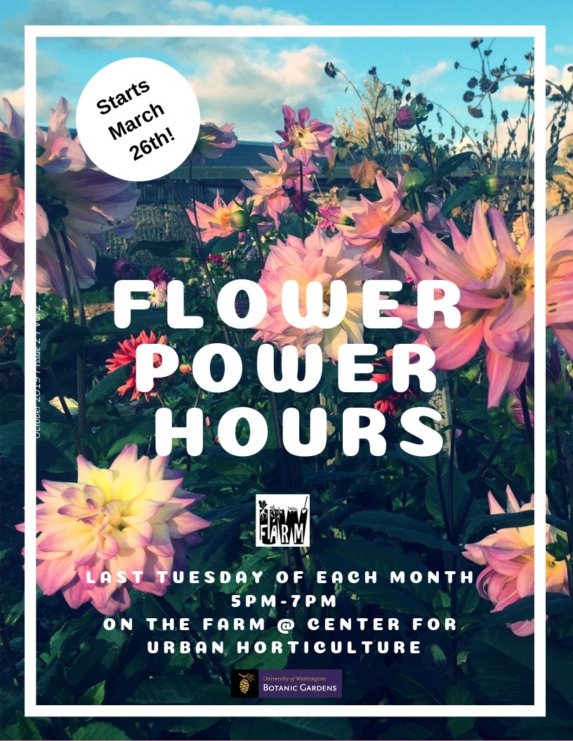 UW Farm Flower Power Hours