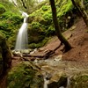 Buck Gulch Waterfall Walk