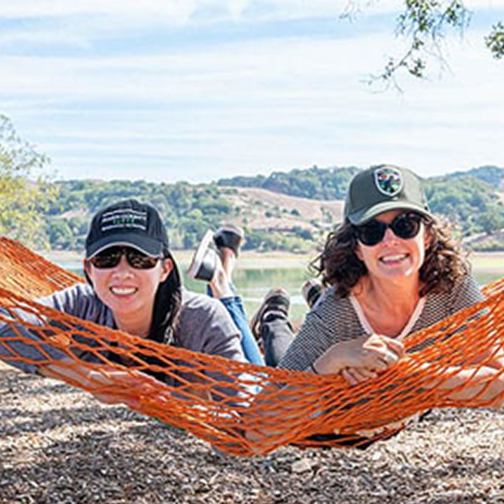 Balsa Bird Gliders