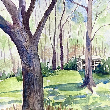 An Introduction to Watercolor: Loose and Beautiful - In Person