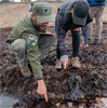 Kids' Tide Pooling