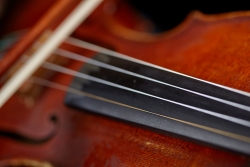 Concerto Competition: Strings