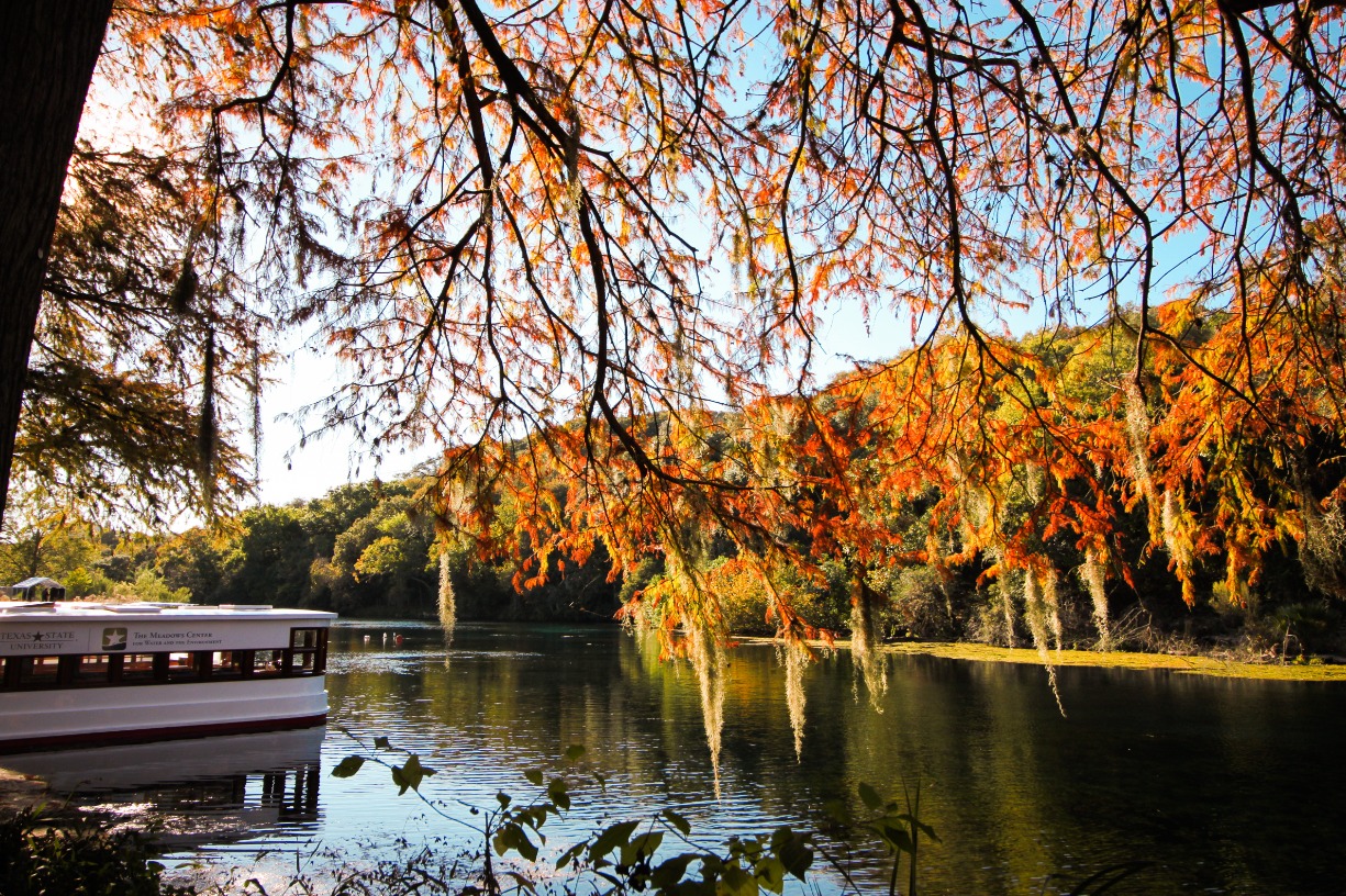 Explore Spring Lake : The Meadows Center for Water and the Environment ...