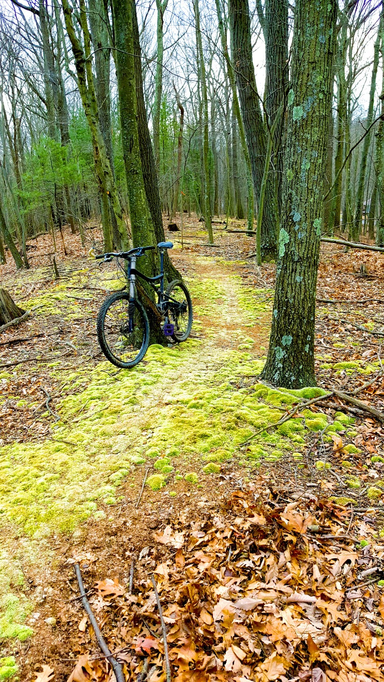 Bedford reservation mountain bike trail hot sale